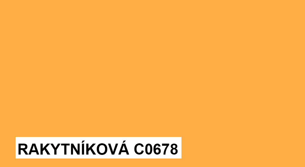 C0678_rakytnikova